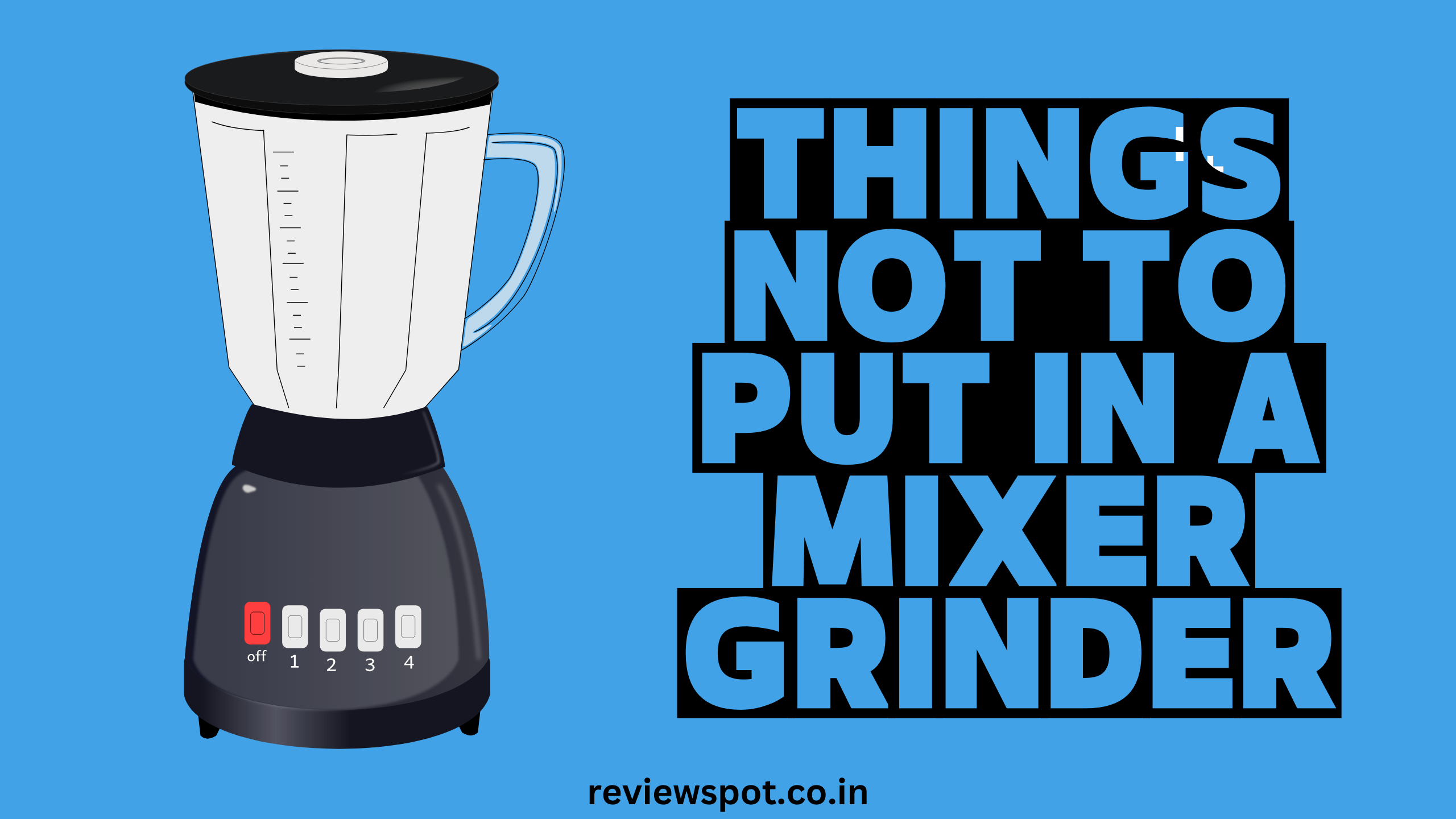 Things Not to Put in a Mixer Grinder