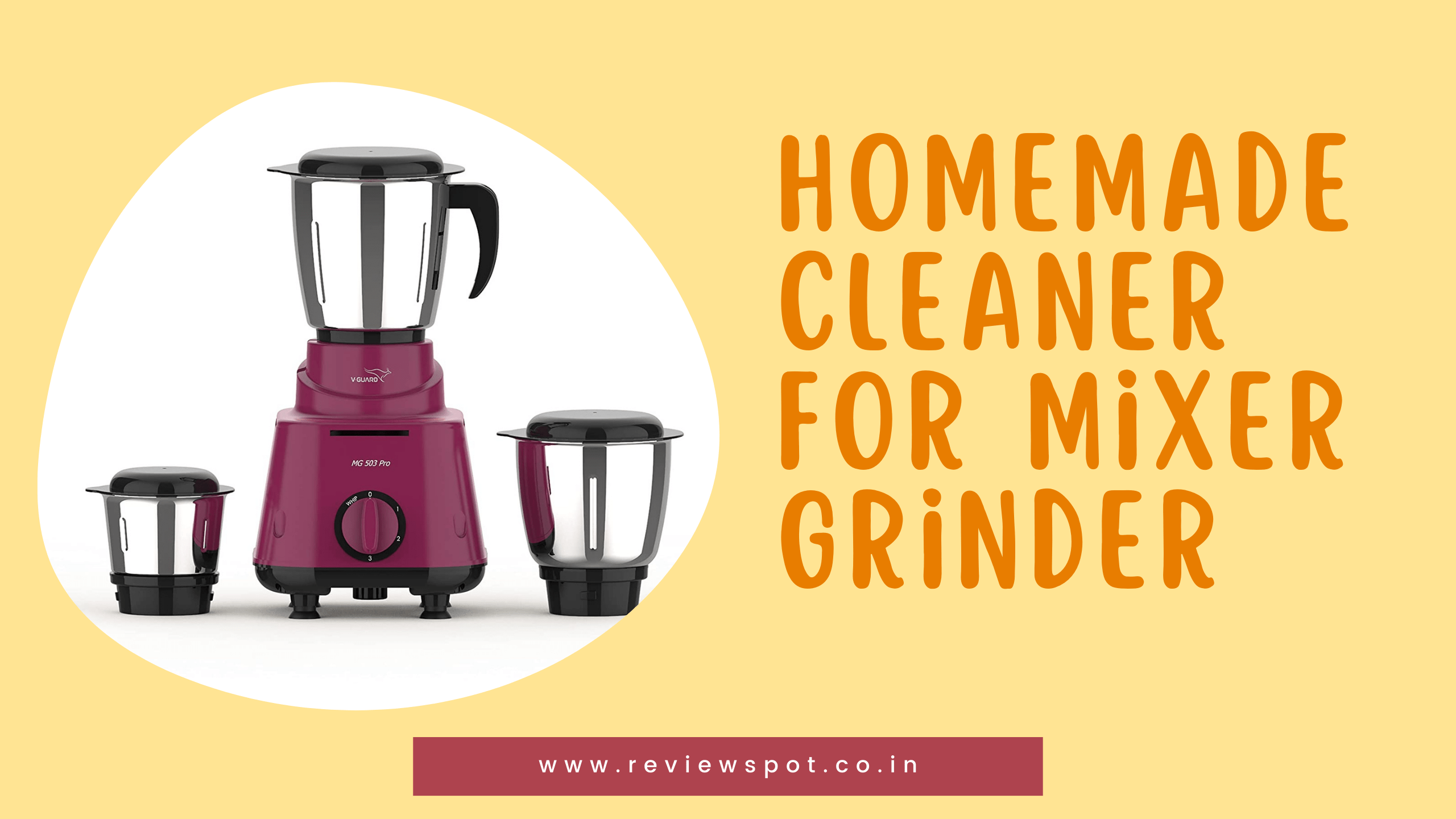 homemade cleaner for mixer grinder