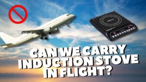 Can we carry induction stove in flight