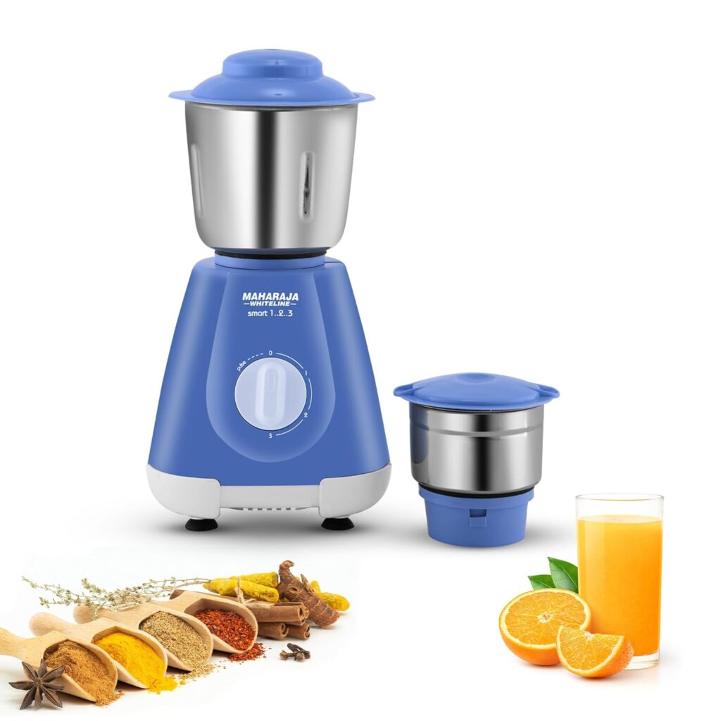 Best Mixer Grinder For Bachelors
