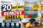 remove smell from fridge